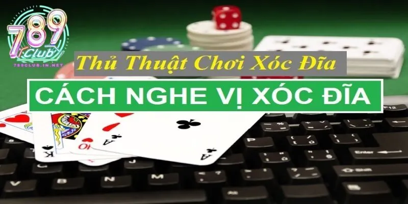 Hướng dẫn đọc bảng vị và bắt cầu xóc đĩa con mực