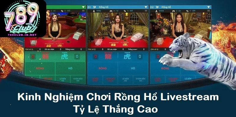 Kinh nghiệm chơi rồng hổ livestream tỷ lệ thắng cao